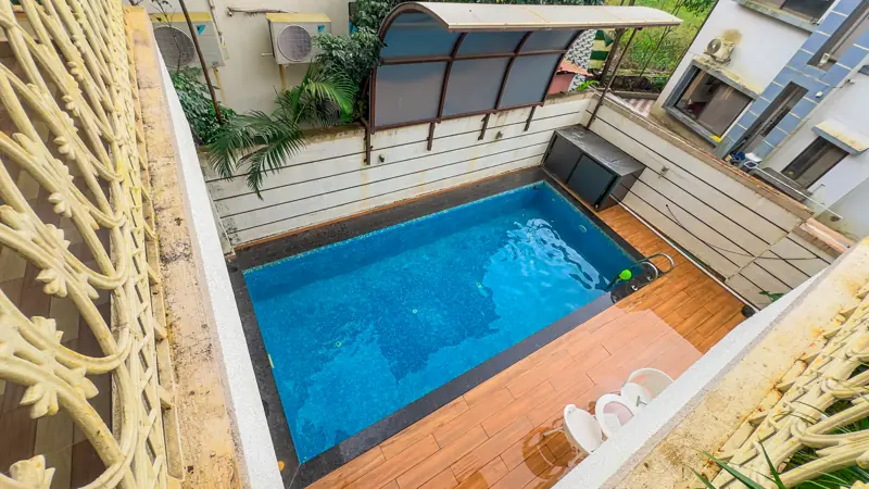 Pool from above, framed by palm fronds